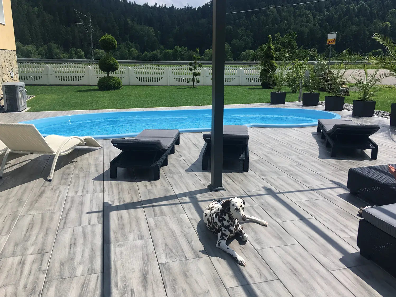 80x40 CreativeLine-Terrassenplatten in grauer Holzoptik von Woehe & Heydemann verlegt auf einer modernen Terrasse mit Liegestühlen und Palmen am Pool mit einem Hund