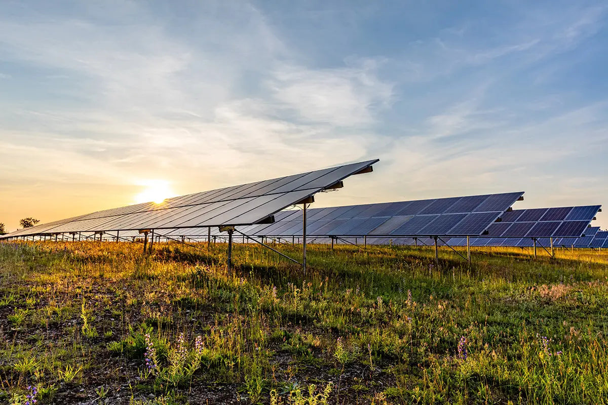 Woehe & Heydemann Stimmungsbild mit Freiflächen Solar-Anlagen zu Energie und Klimaschutz im Nachhaltigkeitsbericht 2023